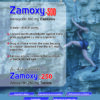 zamoxy, amoxycillin, raizy-xt, iron syrup, prezo, sachet, probiotic, zodak healthcare, panchkulazodakhealthcare, pcd franchise, franchise pharma, pharmaceuticals, pcd franchise haryana, haryana pharma franchise, pharmaceutical products
