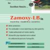 zamoxy, amoxycillin, raizy-xt, iron syrup, prezo, sachet, probiotic, zodak healthcare, panchkulazodakhealthcare, pcd franchise, franchise pharma, pharmaceuticals, pcd franchise haryana, haryana pharma franchise, pharmaceutical products, lactobacillus, antiallergic