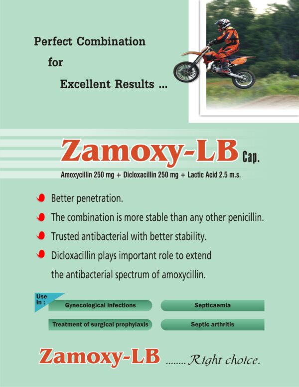 zamoxy, amoxycillin, raizy-xt, iron syrup, prezo, sachet, probiotic, zodak healthcare, panchkulazodakhealthcare, pcd franchise, franchise pharma, pharmaceuticals, pcd franchise haryana, haryana pharma franchise, pharmaceutical products, lactobacillus, antiallergic
